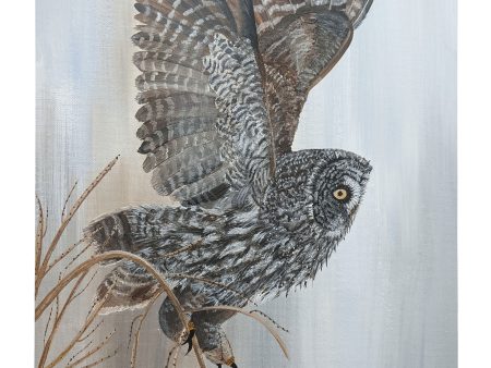 Great Gray Owl Takes Flight - 18  x 13  Gallery Wrapped Canvas Online Hot Sale