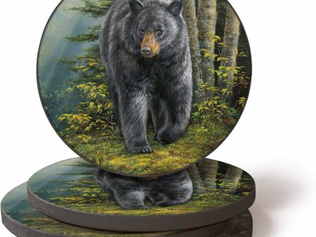 Black Bear - Coasters Discount