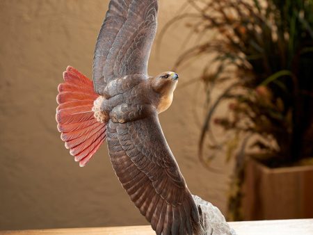 Soaring Red-tailed Hawk - Sculpture Online