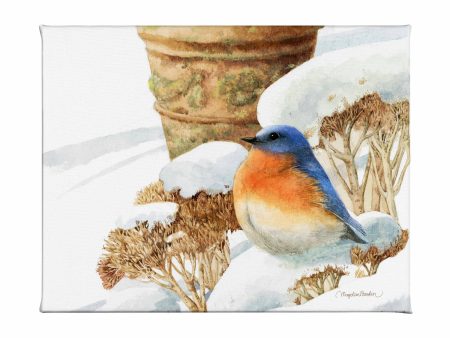 Winter Bluebird - Gallery Wrapped Canvas on Sale