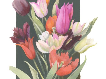 Vibrant Tulips - 18  x 13  Gallery Wrapped Canvas Discount