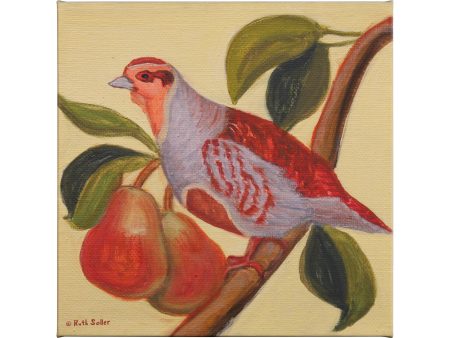 Partridge In Pear Tree - 14  x 14  Gallery Wrapped Canvas Sale