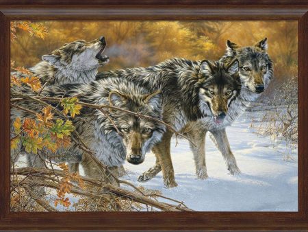 Body Language - Timberwolves - 31  x 43  Framed Gallery Canvas For Cheap