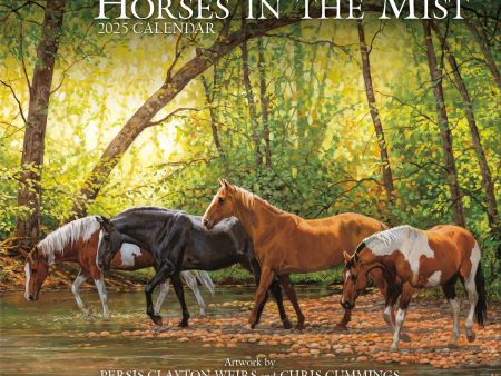 2025 Horses In The Mist Wall Calendar Online Sale