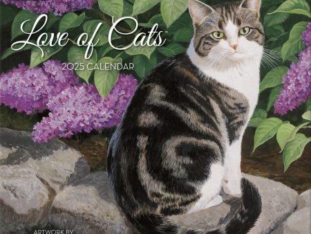 2025 Love Of Cats Wall Calendar Sale