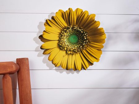 Yellow Daisy For Sale