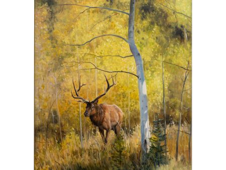 Under the Aspens - 20.5  x 16  Gallery Wrapped Canvas Sale