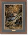 Backwaters—Green—Winged Teal - GNA Premium Print For Sale