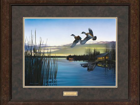 Northern Retreat—Wood Ducks - GNA Premium Print Online now