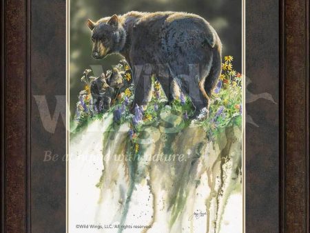 Abundance—Black Bears - GNA Premium Print Supply