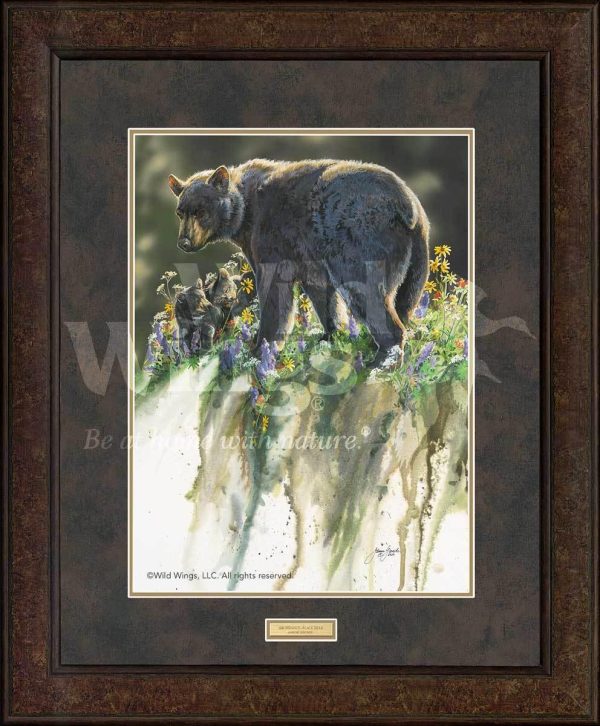 Abundance—Black Bears - GNA Premium Print Supply