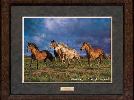 Racing the Sun-Horses - GNA Premium Print For Discount