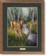 Birch Creek—Whitetail Deer - GNA Premium Print on Sale