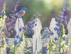 *Original* Summer Delights (Western Bluebirds) by Susan Bourdet 19  x 14  For Discount