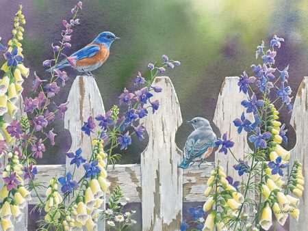 *Original* Summer Delights (Western Bluebirds) by Susan Bourdet 19  x 14  For Discount