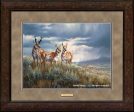 Approaching Storm—Pronghorns - GNA Premium Print Online now