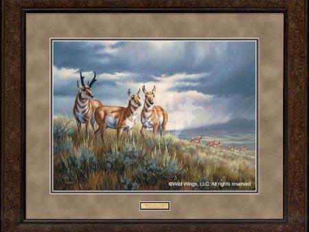 Approaching Storm—Pronghorns - GNA Premium Print Online now