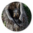 Cubby Hole - Bear Cub Online