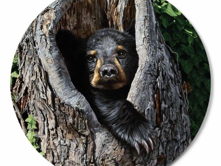 Cubby Hole - Bear Cub Online