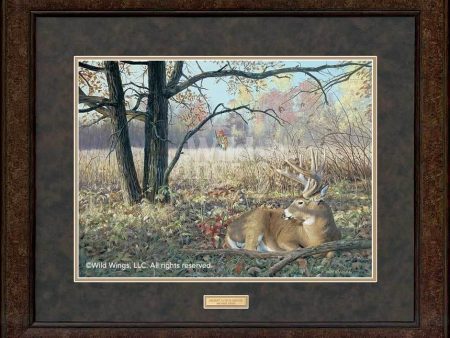 Hold Tight—Whitetail Deer - GNA Premium Print Discount