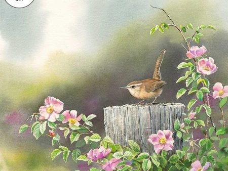 Coming Up Roses—Carolina Wren Discount