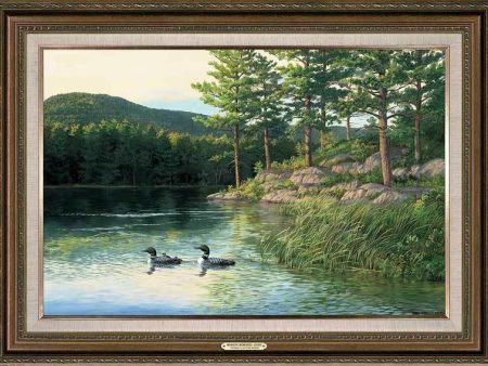 Morning Memories—Loons For Discount