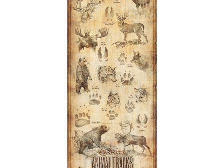 Animal Tracks of North America Supply