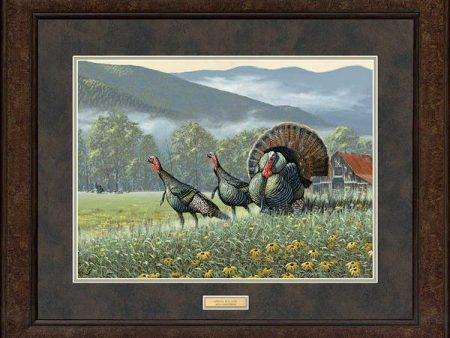 Spring Rounds—Turkeys - GNA Premium Print Discount