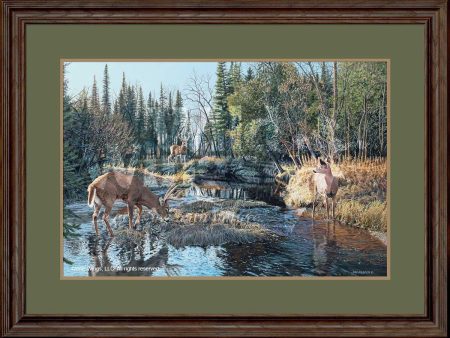 Trespassing—Whitetail Deer - Limited Edition Paper Online