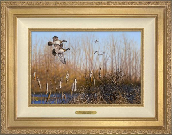 Return Among the Cattails—Wood Ducks; Artist Proof Edition (AP) For Cheap