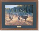 Bog Trek—Whitetail Deer - GNA Premium Print Supply