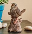 Wren on Sale