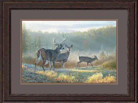 Deer Dreaming - Limited Edition Paper Hot on Sale