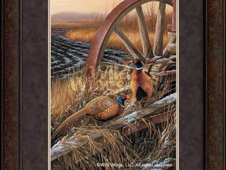 Rustic Outlook—Pheasants - GNA Premium Print Sale