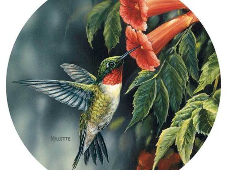 Hummingbird - Coasters Online now