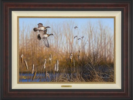 Return Among the Cattails—Wood Ducks; Studio Artist Edition (SA) Fashion