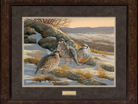 Rocky Ridge—Chukar - GNA Premium Print For Cheap