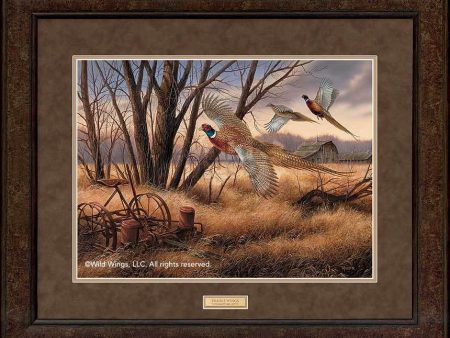 Prairie Wings—Pheasants - GNA Premium Print Online Hot Sale