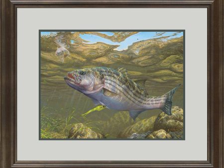 Decisions - Striped Bass - Limited Edition Paper For Discount