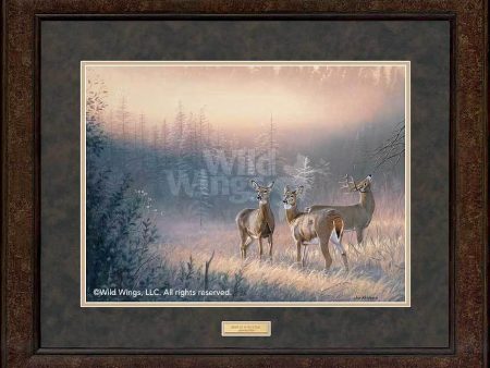 Trio of Whitetail - GNA Premium Print on Sale