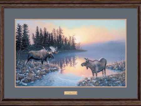 Cold Start - Moose - Limited Edition Paper Hot on Sale