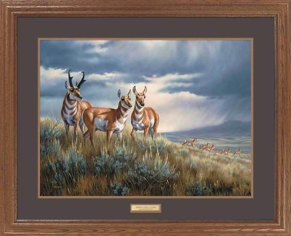 Approaching Storm—Pronghorns - GNA Premium Print Online now