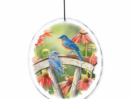 Hidden in Plain Sight—Bluebirds - Suncatcher For Cheap