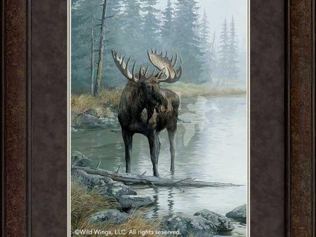 Quiet Water—Moose - GNA Premium Print Online