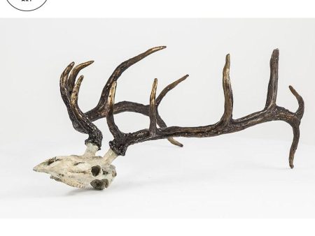 Elk Skull Sale