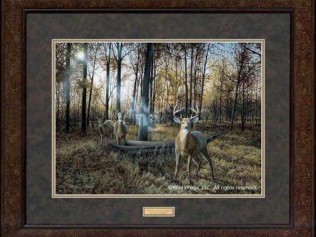 Busted—Whitetail Deer - GNA Premium Print Discount