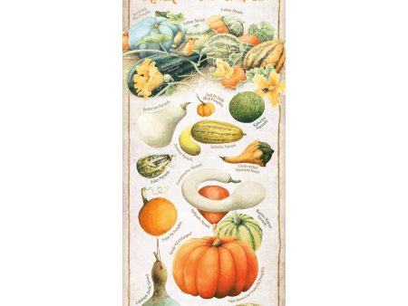 Harvest Gems - Squash Hot on Sale