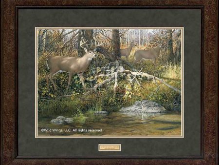 When Seasons Change—Deer - GNA Premium Print Cheap