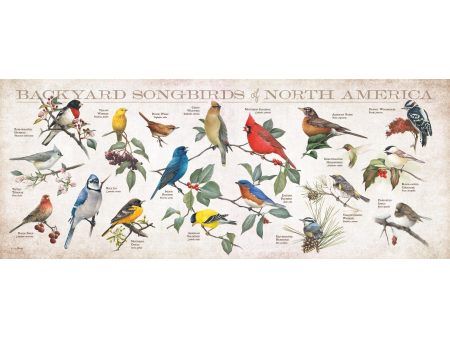 Backyard Songbirds of North America Sale