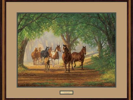 Country Lane - Horses - Limited Edition Paper Sale